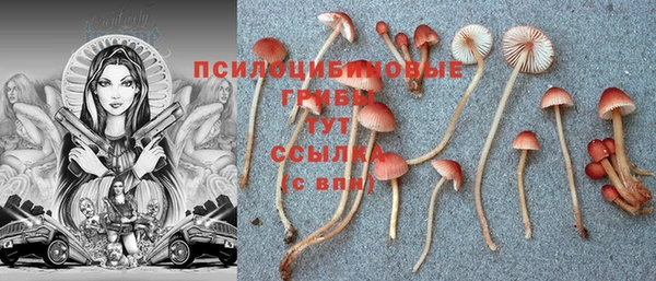кокаин Заволжск
